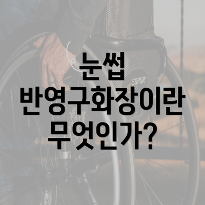 눈썹 반영구화장이란 무엇인가?