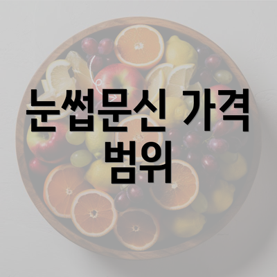 눈썹문신 가격 범위