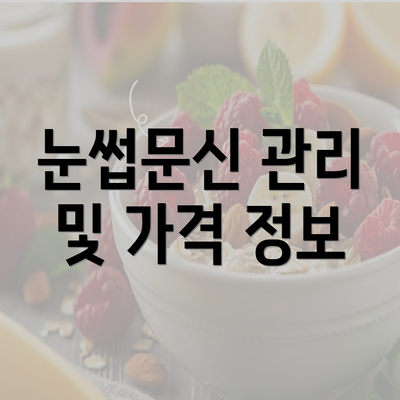 눈썹문신 관리 및 가격 정보