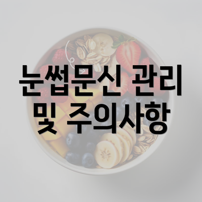 눈썹문신 관리 및 주의사항