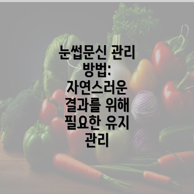 눈썹문신 관리 방법: 자연스러운 결과를 위해 필요한 유지 관리