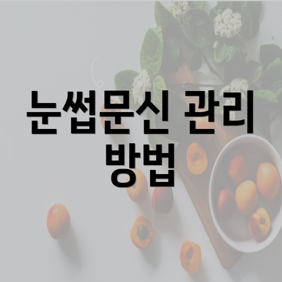 눈썹문신 관리 방법