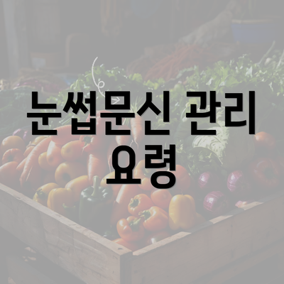 눈썹문신 관리 요령