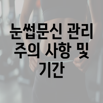 눈썹문신 관리 주의 사항 및 기간