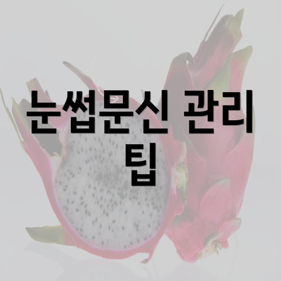 눈썹문신 관리 팁