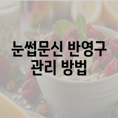 눈썹문신 반영구 관리 방법