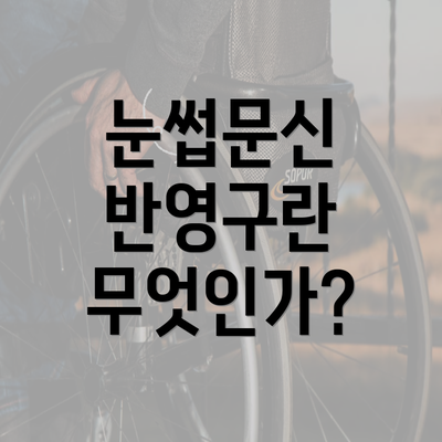 눈썹문신 반영구란 무엇인가?