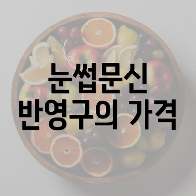 눈썹문신 반영구의 가격