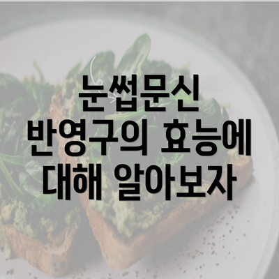 눈썹문신 반영구의 효능에 대해 알아보자