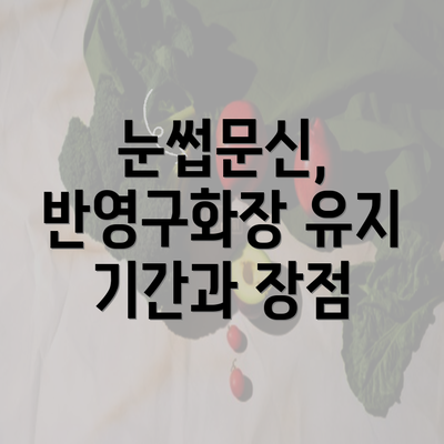 눈썹문신, 반영구화장 유지 기간과 장점