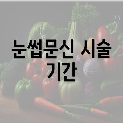 눈썹문신 시술 기간