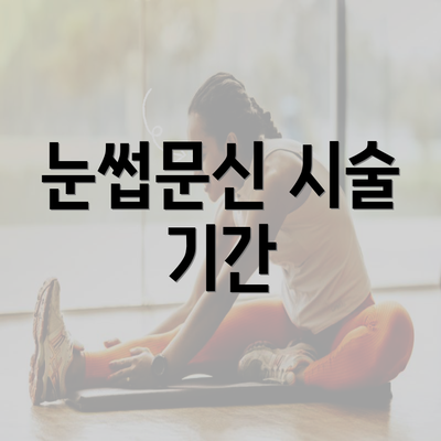 눈썹문신 시술 기간