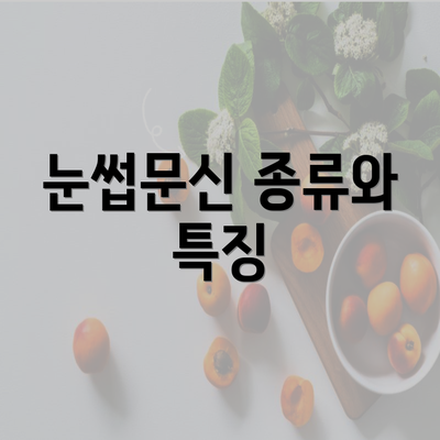 눈썹문신 종류와 특징