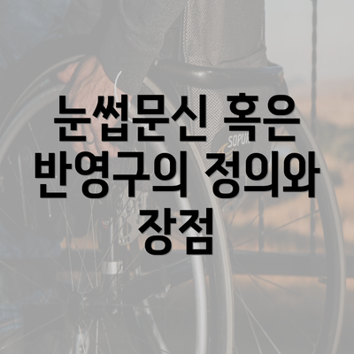 눈썹문신 혹은 반영구의 정의와 장점