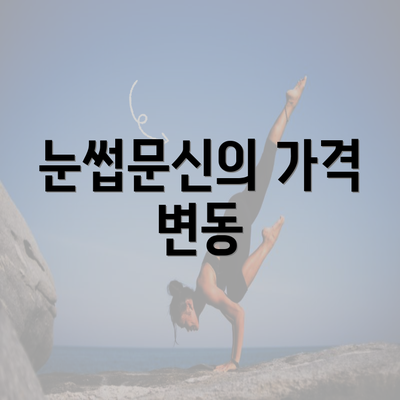 눈썹문신의 가격 변동