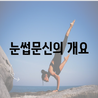 눈썹문신의 개요