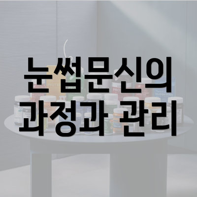 눈썹문신의 과정과 관리