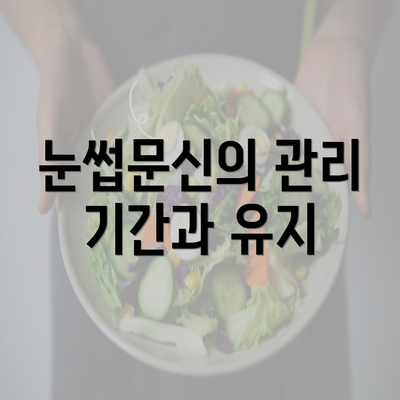 눈썹문신의 관리 기간과 유지