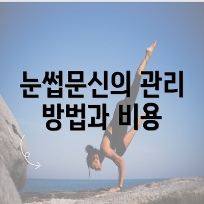 눈썹문신의 관리 방법과 비용