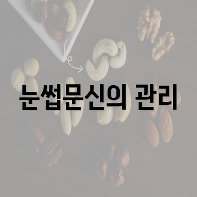 눈썹문신의 관리