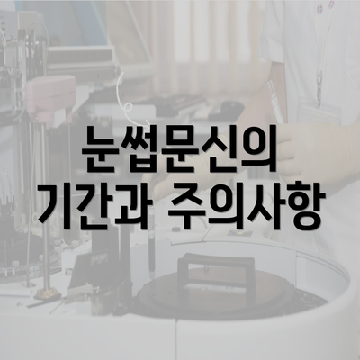 눈썹문신의 기간과 주의사항