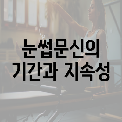 눈썹문신의 기간과 지속성