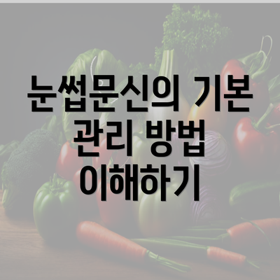 눈썹문신의 기본 관리 방법 이해하기