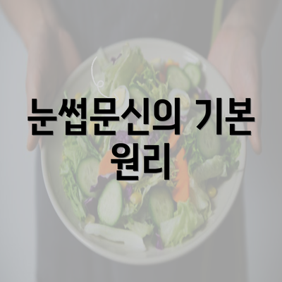 눈썹문신의 기본 원리