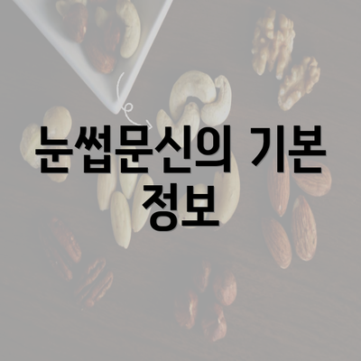 눈썹문신의 기본 정보