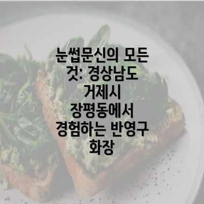 눈썹문신의 모든 것: 경상남도 거제시 장평동에서 경험하는 반영구 화장