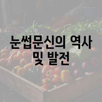 눈썹문신의 역사 및 발전