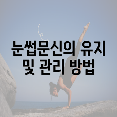 눈썹문신의 유지 및 관리 방법