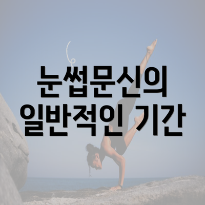 눈썹문신의 일반적인 기간