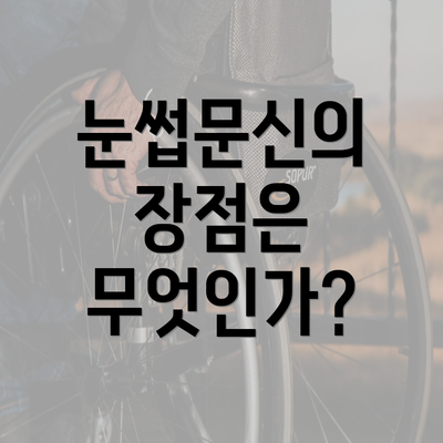 눈썹문신의 장점은 무엇인가?