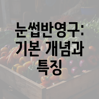 눈썹반영구: 기본 개념과 특징