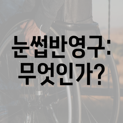 눈썹반영구: 무엇인가?