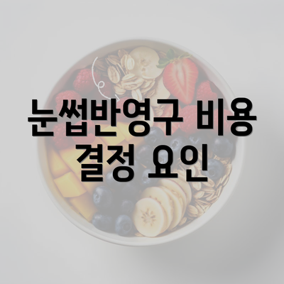 눈썹반영구 비용 결정 요인