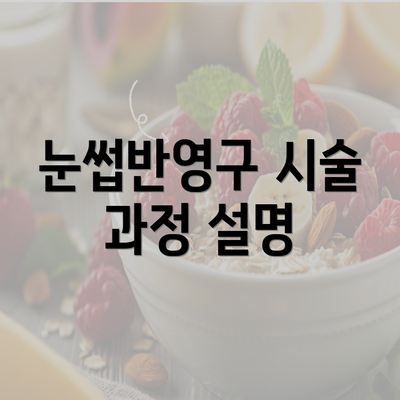 눈썹반영구 시술 과정 설명