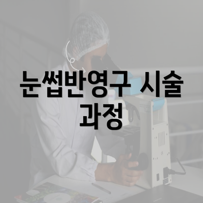 눈썹반영구 시술 과정