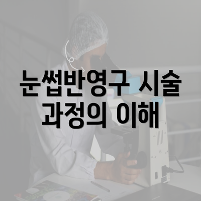 눈썹반영구 시술 과정의 이해