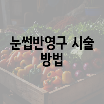 눈썹반영구 시술 방법