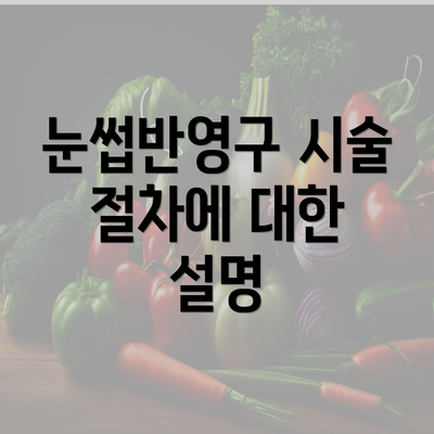 눈썹반영구 시술 절차에 대한 설명