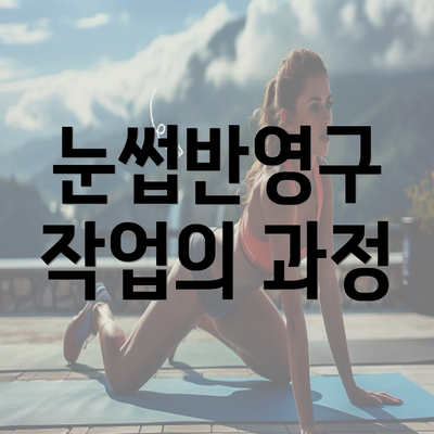 눈썹반영구 작업의 과정