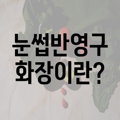 눈썹반영구 화장이란?