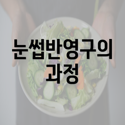 눈썹반영구의 과정