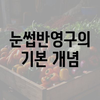 눈썹반영구의 기본 개념