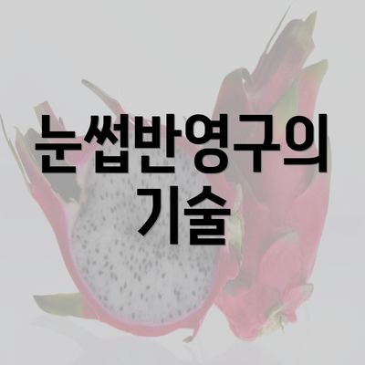 눈썹반영구의 기술