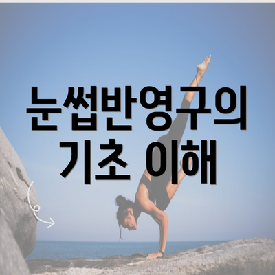 눈썹반영구의 기초 이해