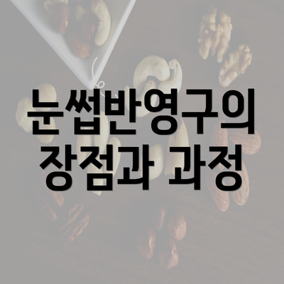 눈썹반영구의 장점과 과정