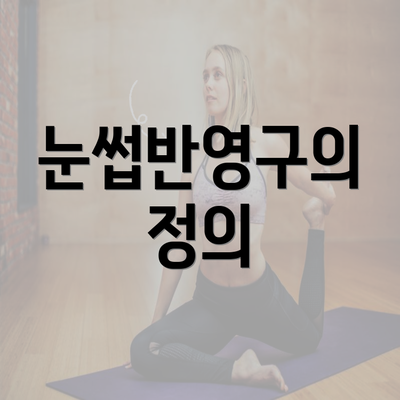 눈썹반영구의 정의